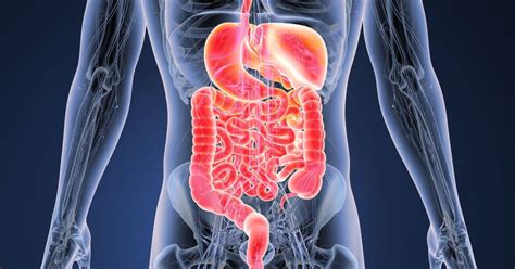 the intestinal permeability ip assessment is a noninvasive test cost|leaky intestine lab tests.